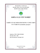 Nghiên cứu đặc điểm sinh trưởng và phát triển của vi khuẩn Lactobacillus sporogenes