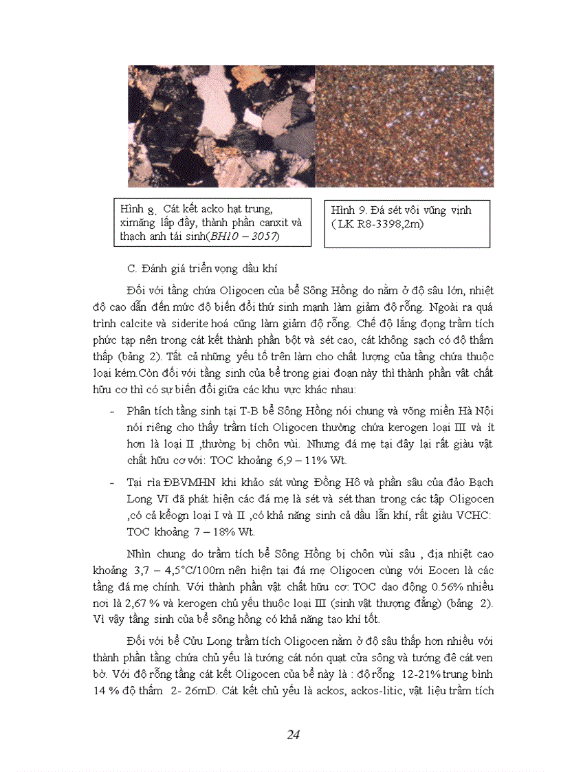 image for page Nghiên cứu đối sánh tướng trầm tích Oligocen bể Sông Hồng và bể Cửu Long và từ đó đánh giá triển vọng dầu khí