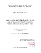 Nghiên cứu một số điều kiện tối ưu khi sử dụng enzym và nấm men trong công nghệ sản xuất cồn