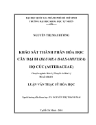 Khảo sát thành phần hóa học cây đại bi blumea balsamifera họ cúc asteraceae