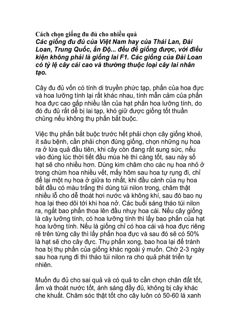 image for page Cách chọn giống đu đủ cho nhiều quả