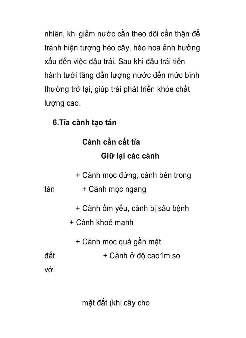 Các phương pháp kỷ thuật trồng cây sầu riêng đạt hiệu quả kinh tế cao