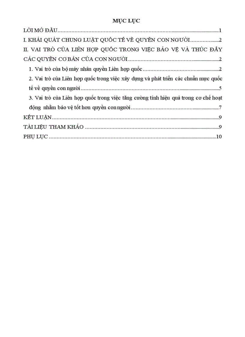 image for page Vai trò của Liên hợp quốc trong việc bảo vệ và thúc đẩy các quyền cơ bản của con người