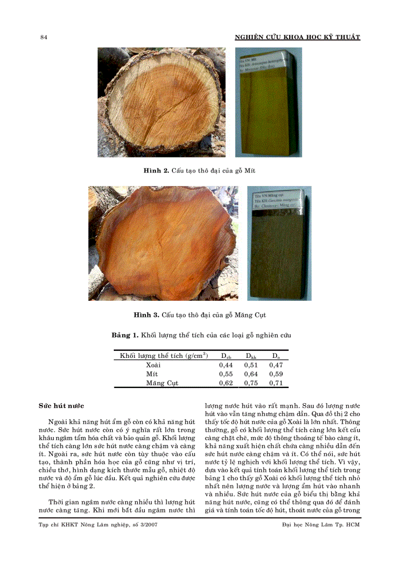Khảo sát cấu tạo và tính chất cơ lý của một số loại gỗ cây ăn trái