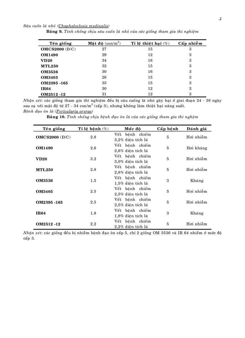 image for page Khảo nghiệm xác định giống lúa mới ngắn ngày năng suất cao chất lượng tốt