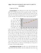 Báo cáo phân tích tài chính công ty Hanoimilk