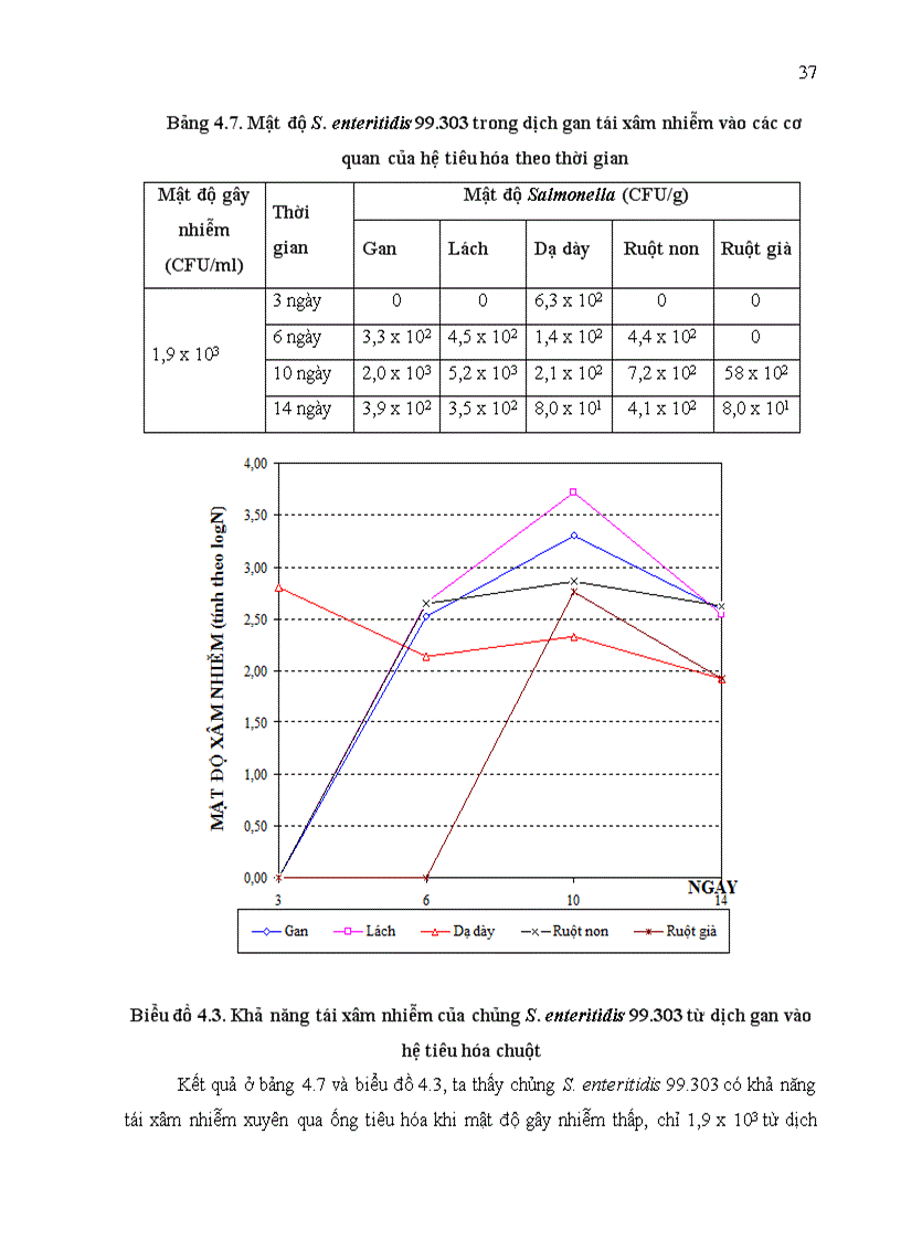 image for page Nghiên cứu khả năng gây bệnh cho chuột ở các chủng salmonella có nguồn gốc từ bệnh phẩm thực phẩm