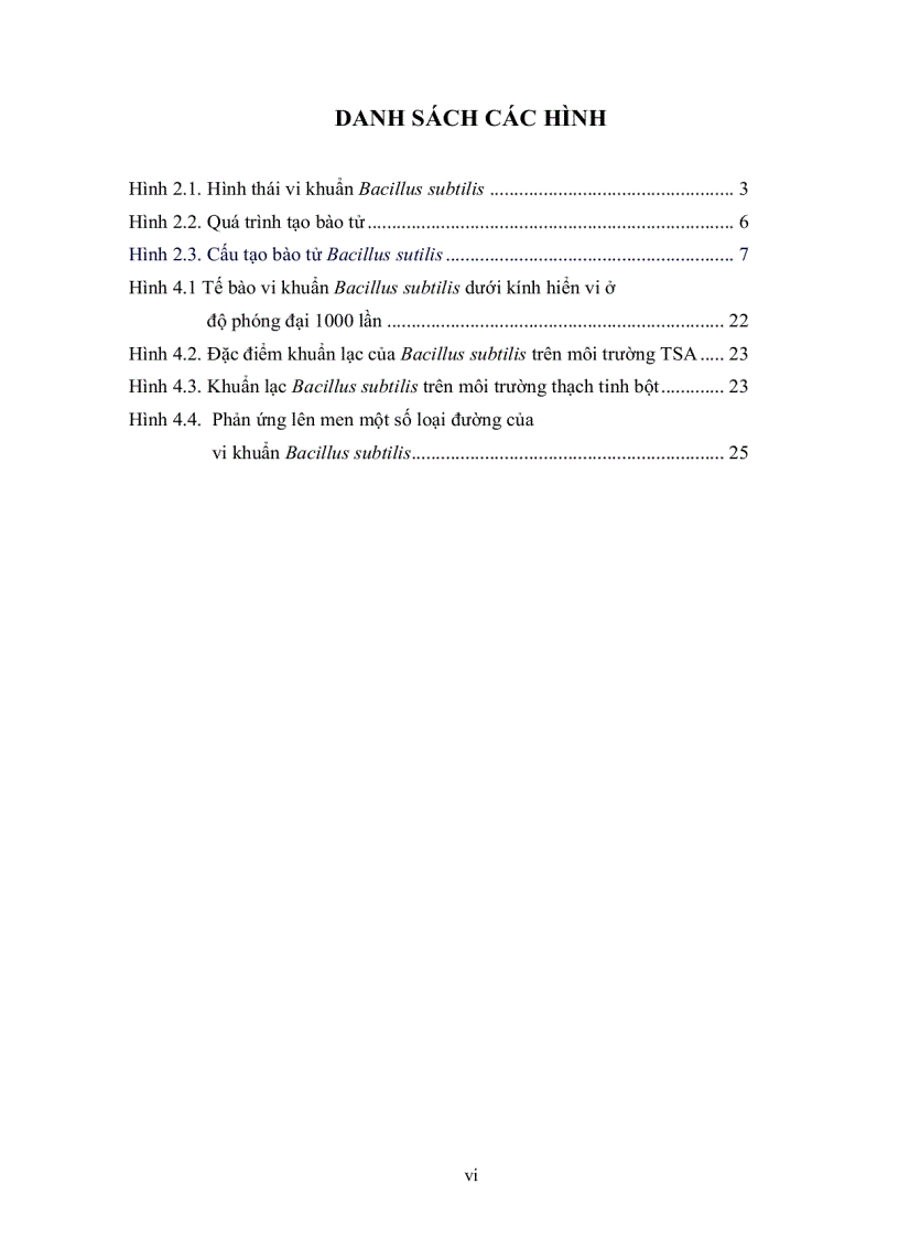 image for page Khảo sát điều kiện nuôi cấy và sinh bào tử vi khuẩn Bacillus subtilis