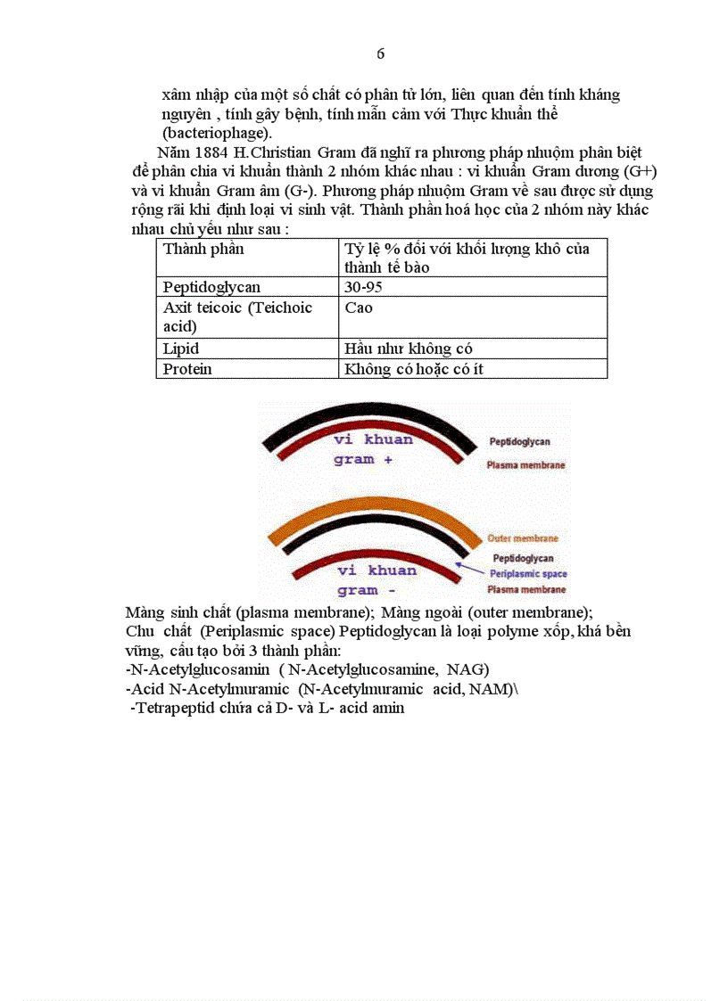 image for page Lược sử nghiên cứu Vi sinh vật học Cấu trúc tế bào vi khuẩn