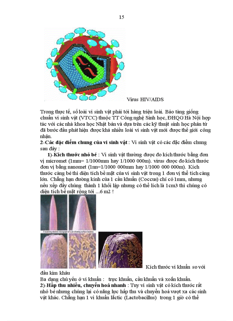 image for page Lược sử nghiên cứu Vi sinh vật học Cấu trúc tế bào vi khuẩn