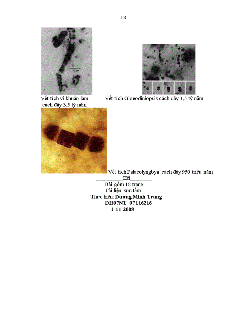 image for page Lược sử nghiên cứu Vi sinh vật học Cấu trúc tế bào vi khuẩn