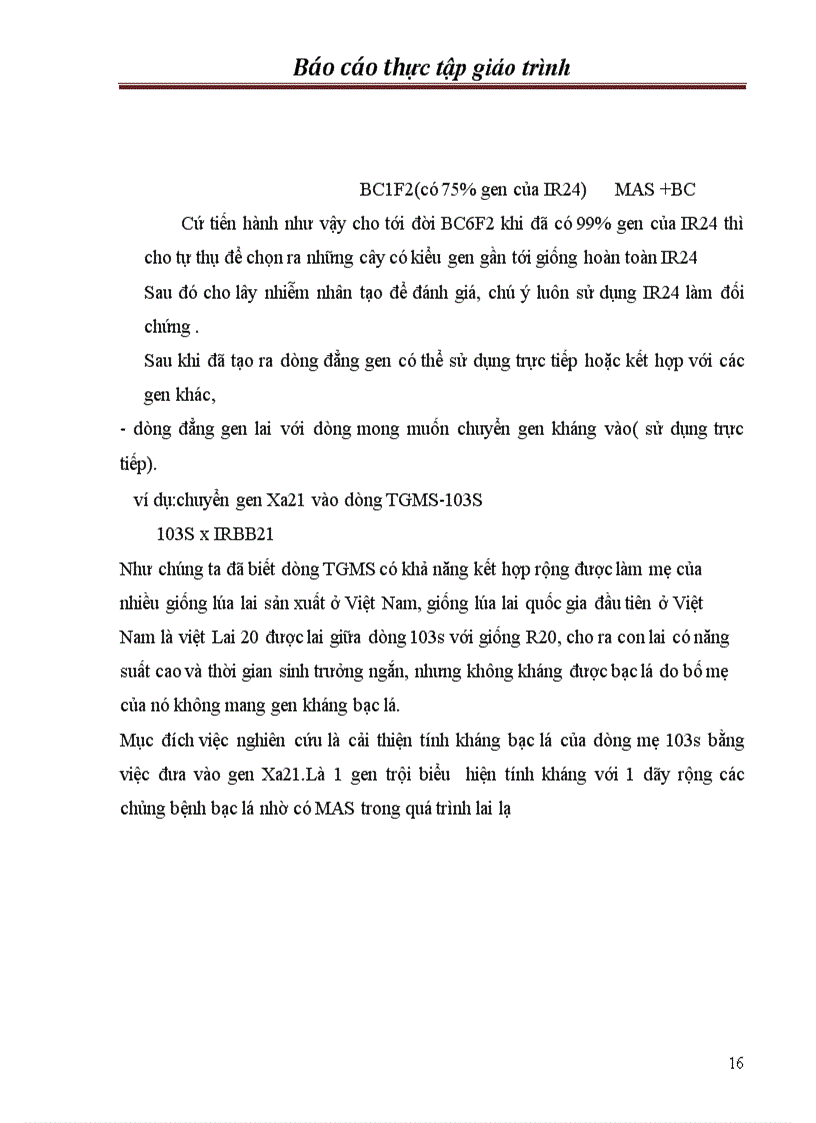 image for page Chọn tạo giống lúa kháng bạc lá trong hệ thống lúa lai hai dòng