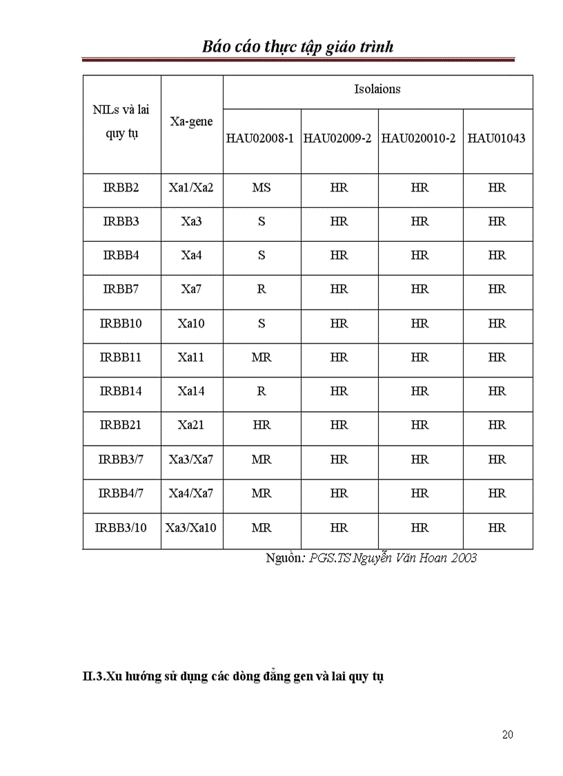 image for page Chọn tạo giống lúa kháng bạc lá trong hệ thống lúa lai hai dòng