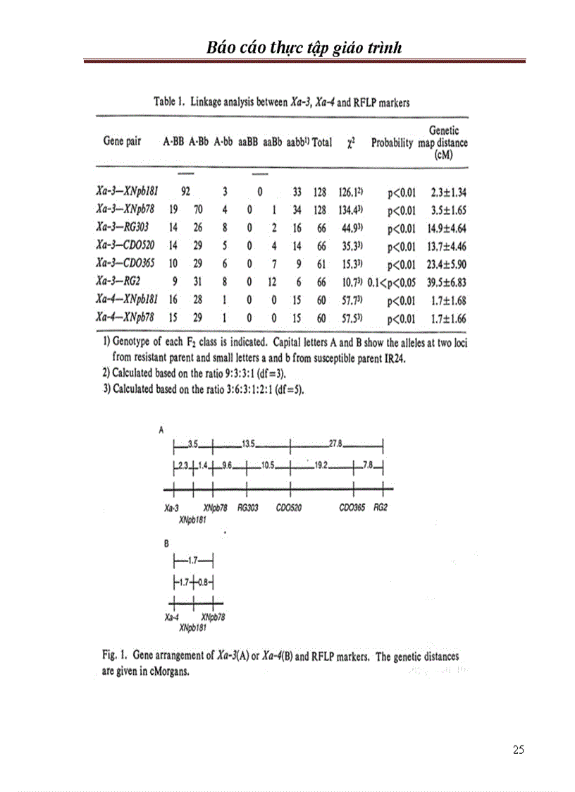 image for page Chọn tạo giống lúa kháng bạc lá trong hệ thống lúa lai hai dòng