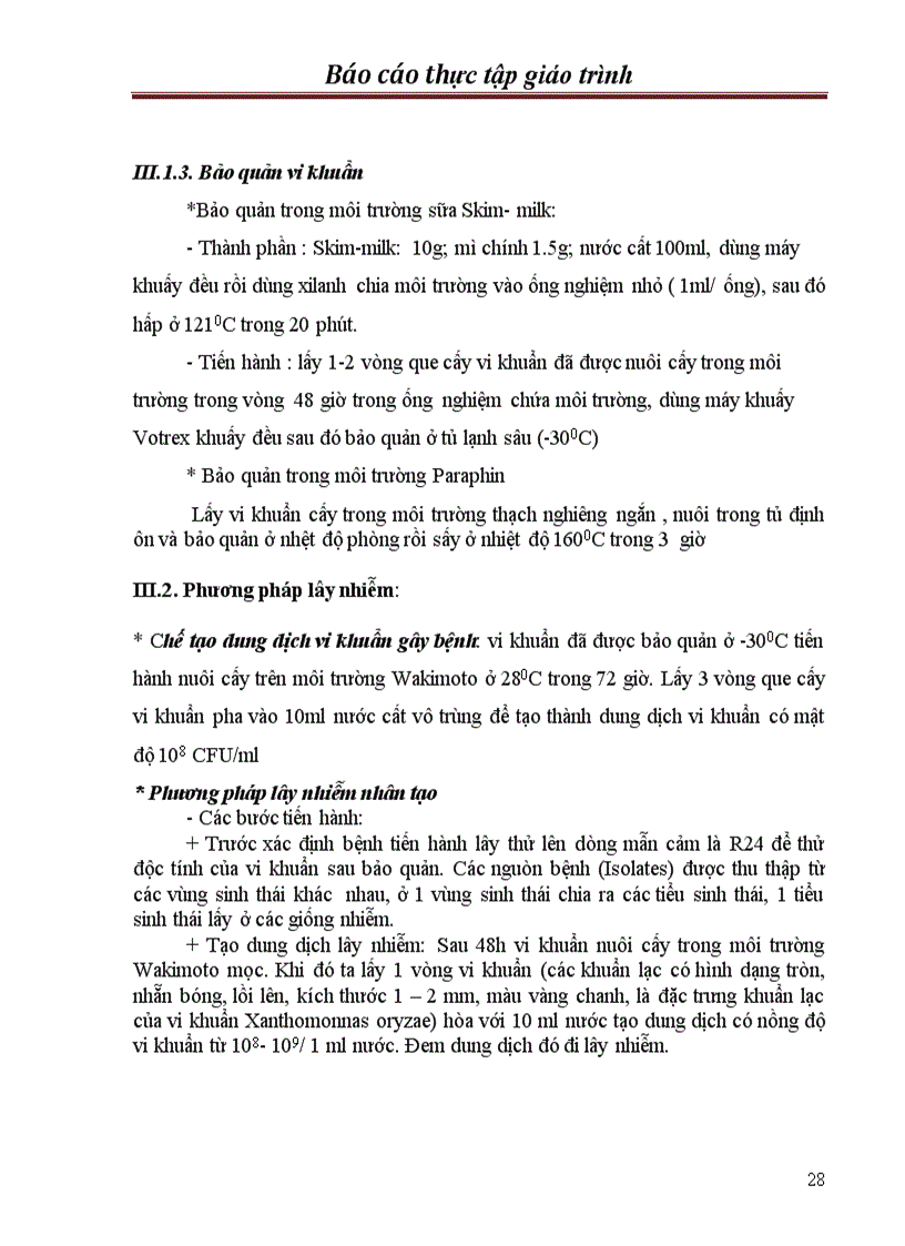 image for page Chọn tạo giống lúa kháng bạc lá trong hệ thống lúa lai hai dòng