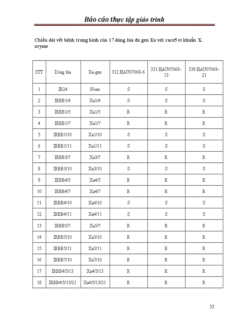 image for page Chọn tạo giống lúa kháng bạc lá trong hệ thống lúa lai hai dòng