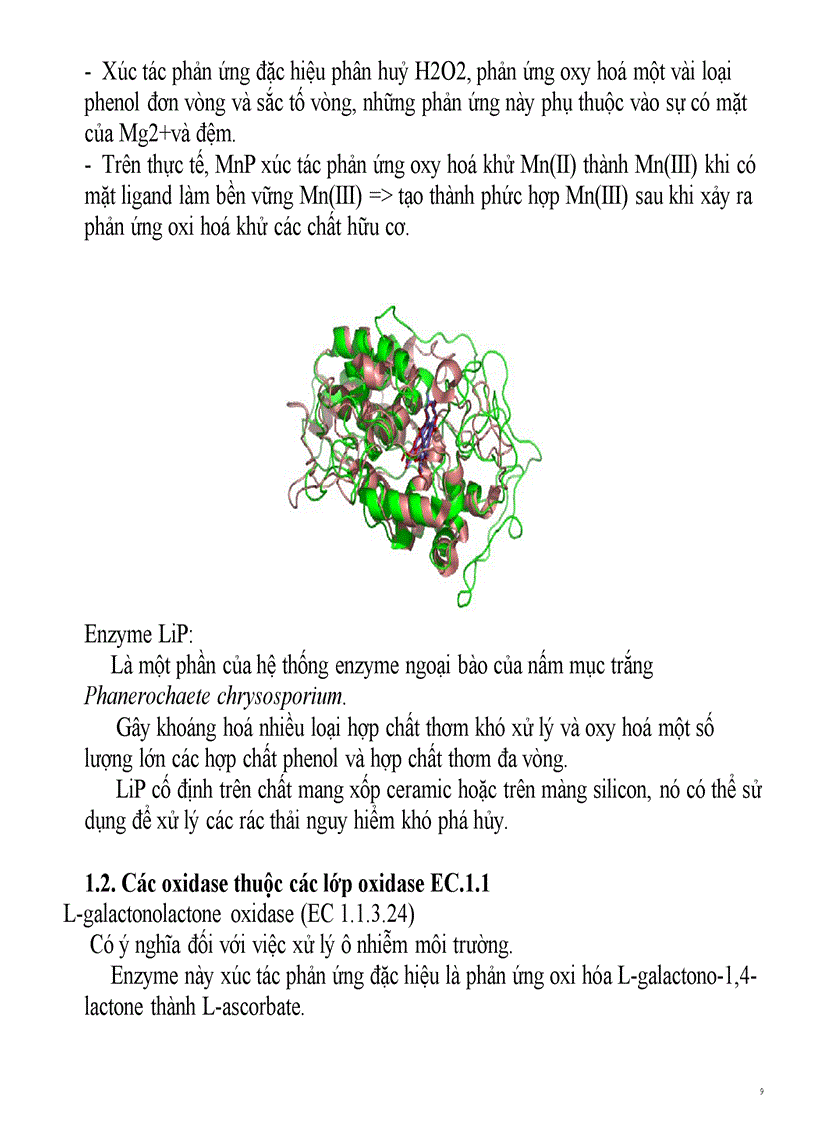 image for page Ứng dụng công nghệ enzyme vào xử lý ô nhiễm môi trường