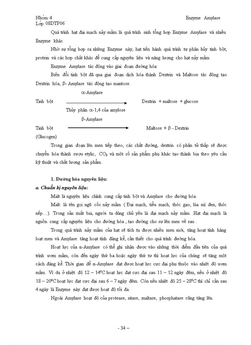 image for page Tổng quan về Enzyme Amylase