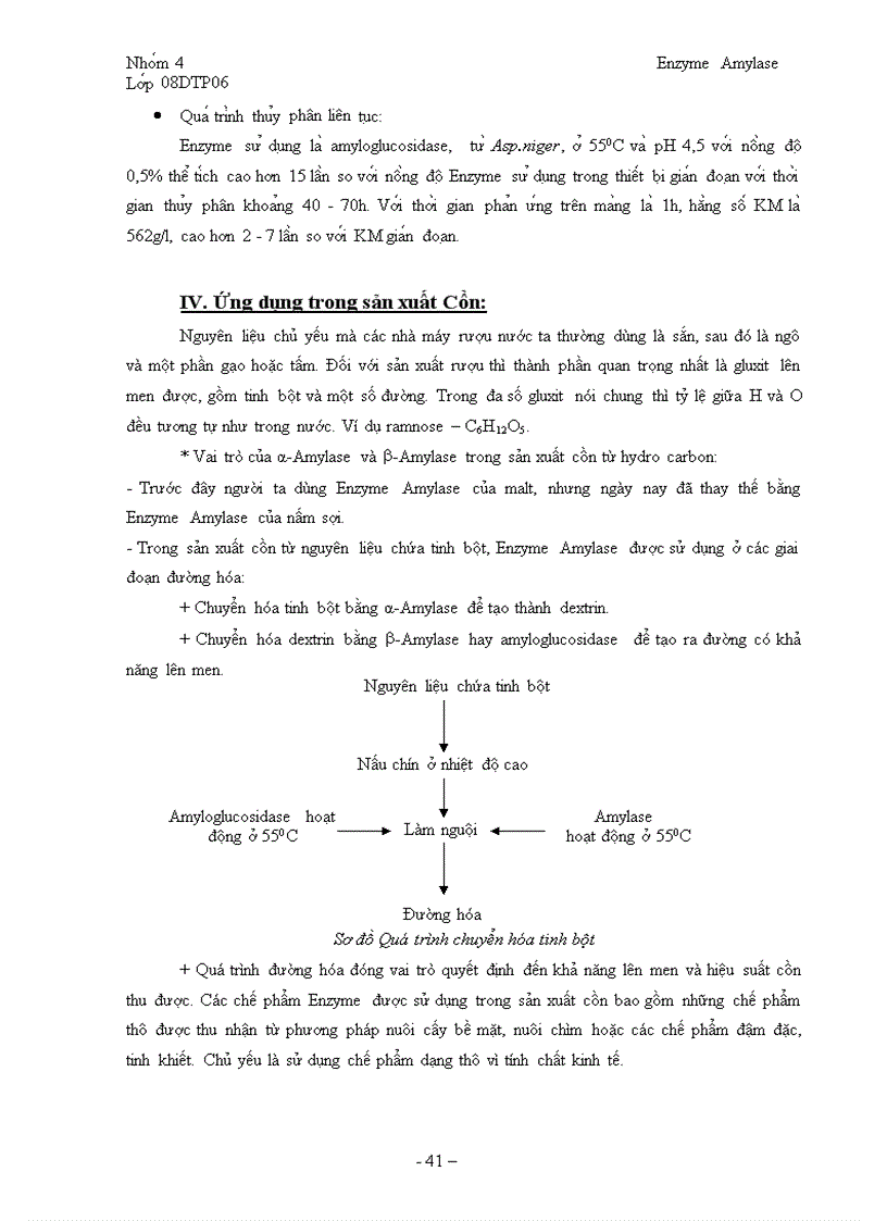 image for page Tổng quan về Enzyme Amylase