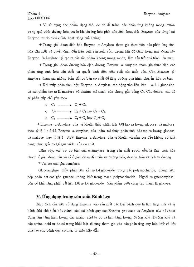 image for page Tổng quan về Enzyme Amylase