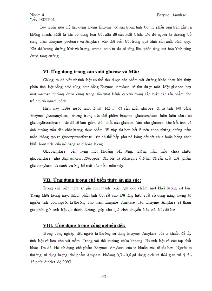 image for page Tổng quan về Enzyme Amylase