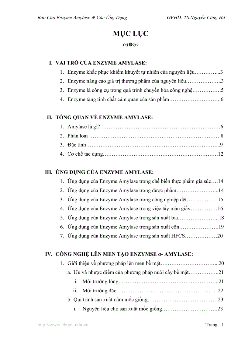 image for page Báo Cáo Enzyme Amylase Các Ứng Dụng