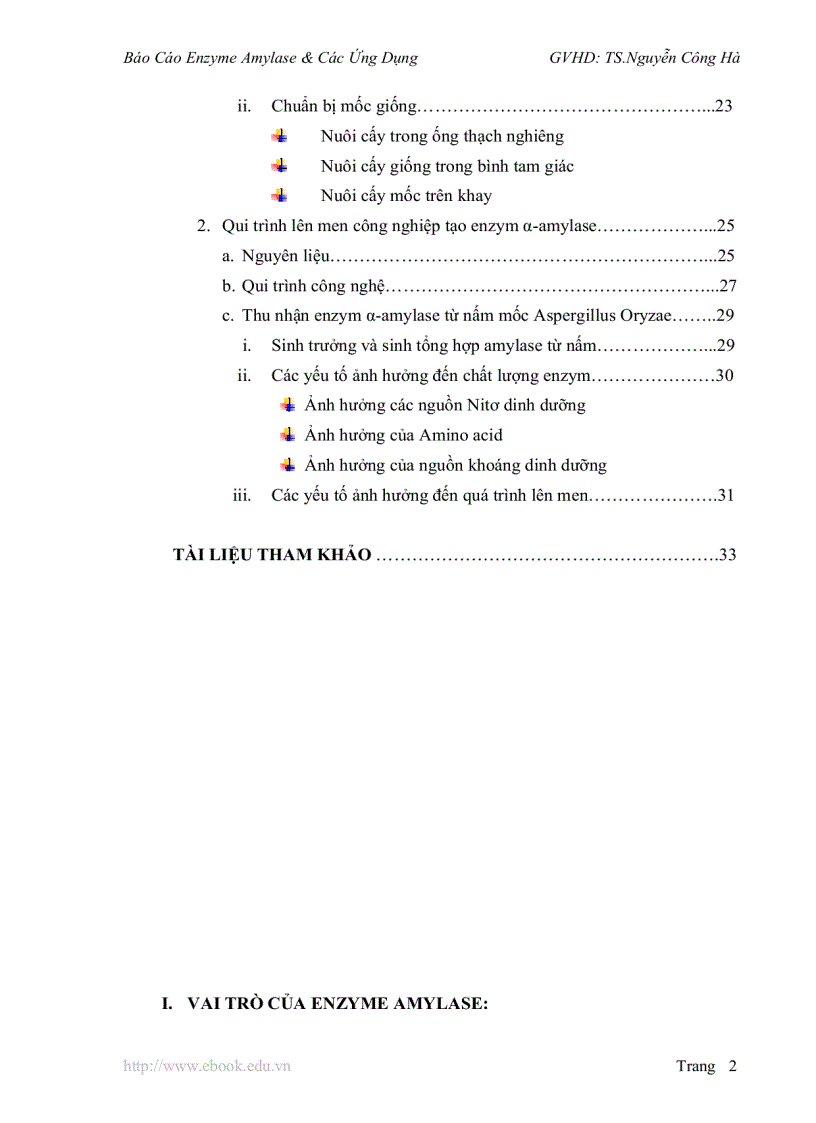image for page Báo Cáo Enzyme Amylase Các Ứng Dụng