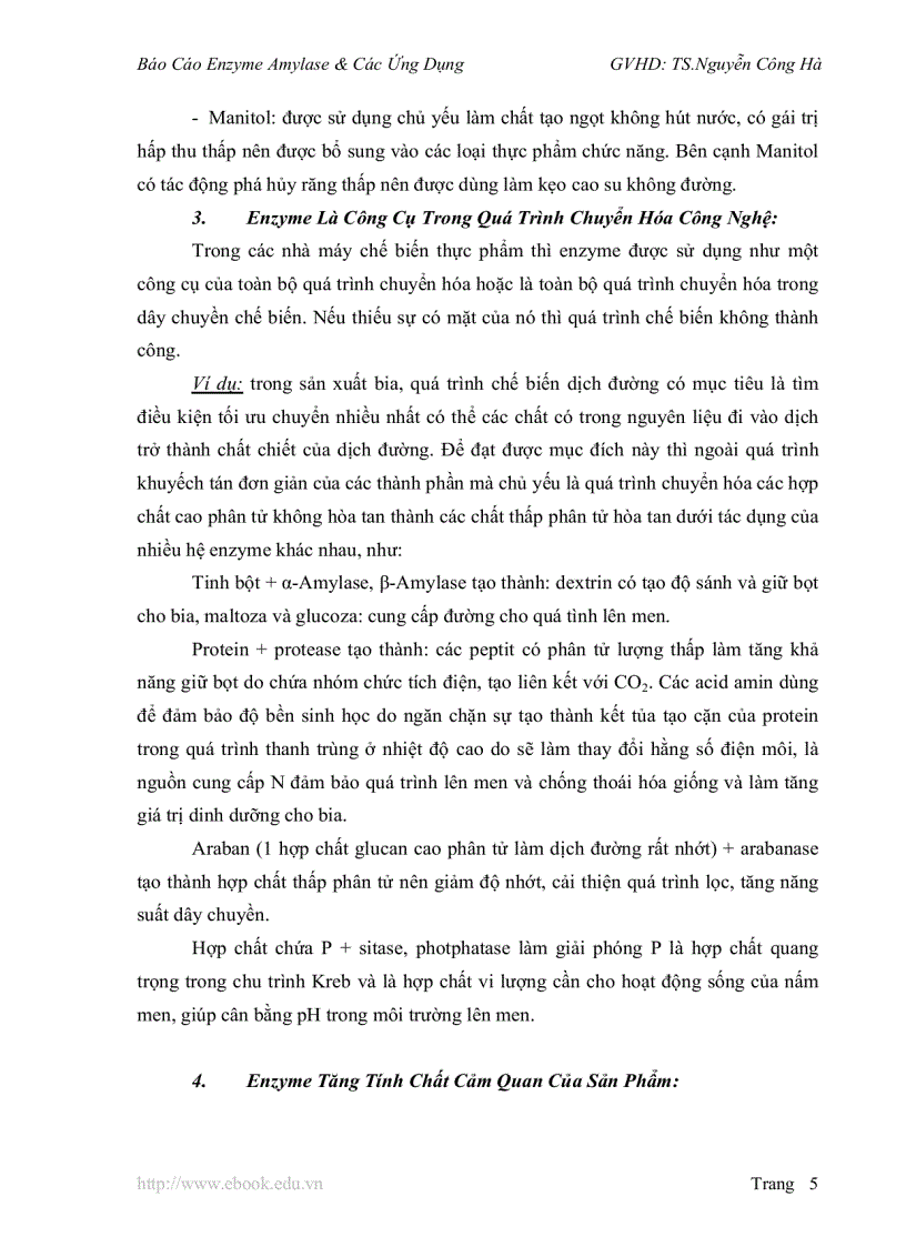 image for page Báo Cáo Enzyme Amylase Các Ứng Dụng