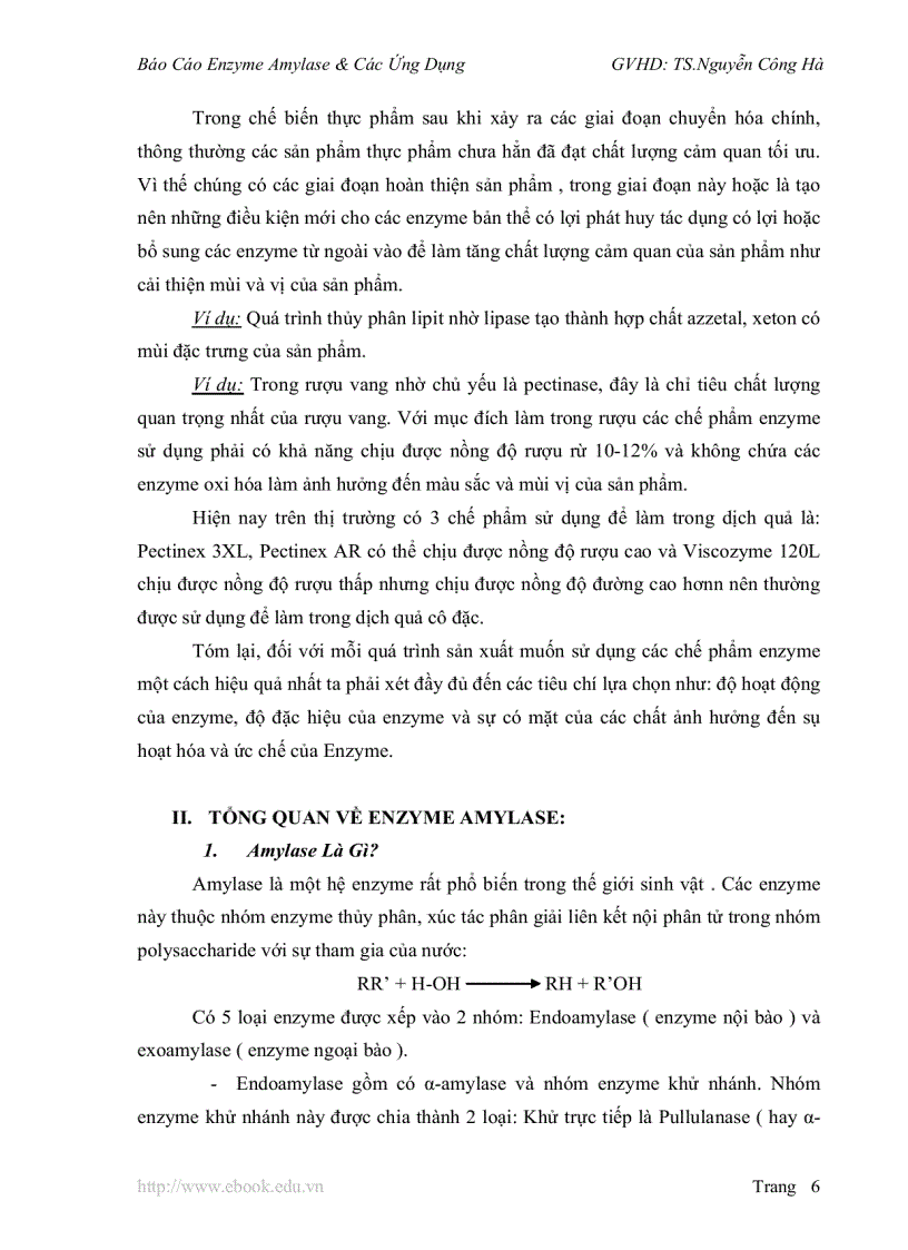 image for page Báo Cáo Enzyme Amylase Các Ứng Dụng