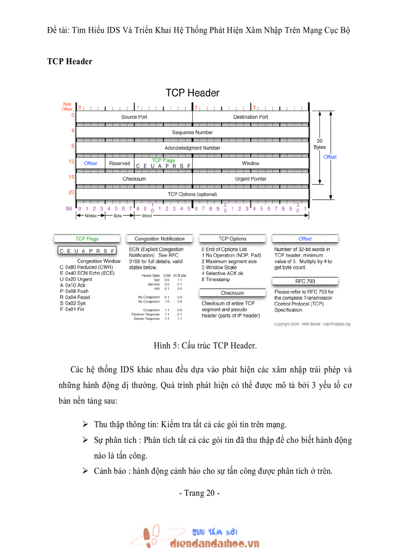 image for page Tìm Hiểu IDS Và Triển Khai Hệ Thống Phát Hiện Xâm Nhập Trên Mạng Cục Bộ