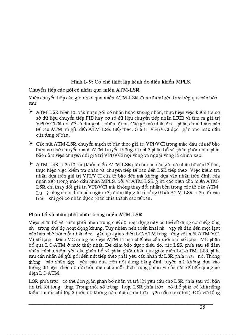 image for page Ứng dụng của MPLS trong mạng VPN và Khả năng ứng dụng MPLS trong mạng Viễn thông của Tổng công ty BCVT Việt nam