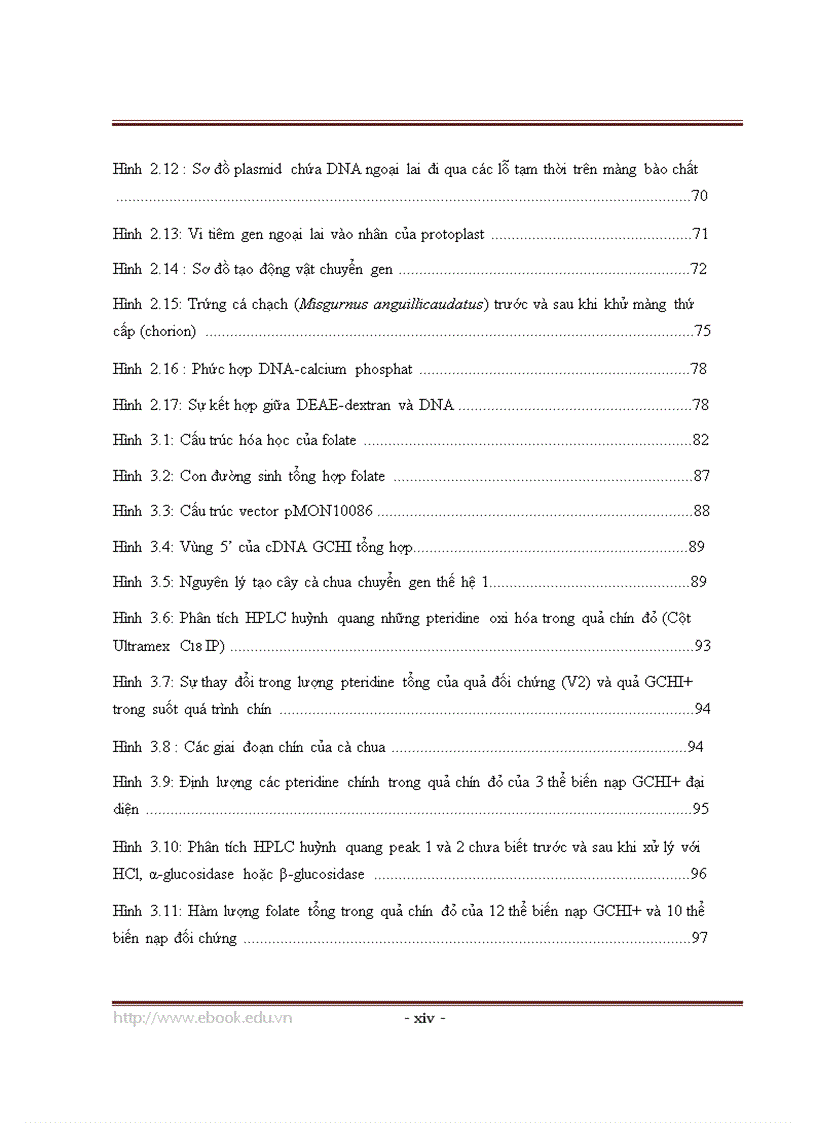 image for page Công nghệ sinh học ứng dụng trong sản xuất và chế biến thực phẩm chức năng