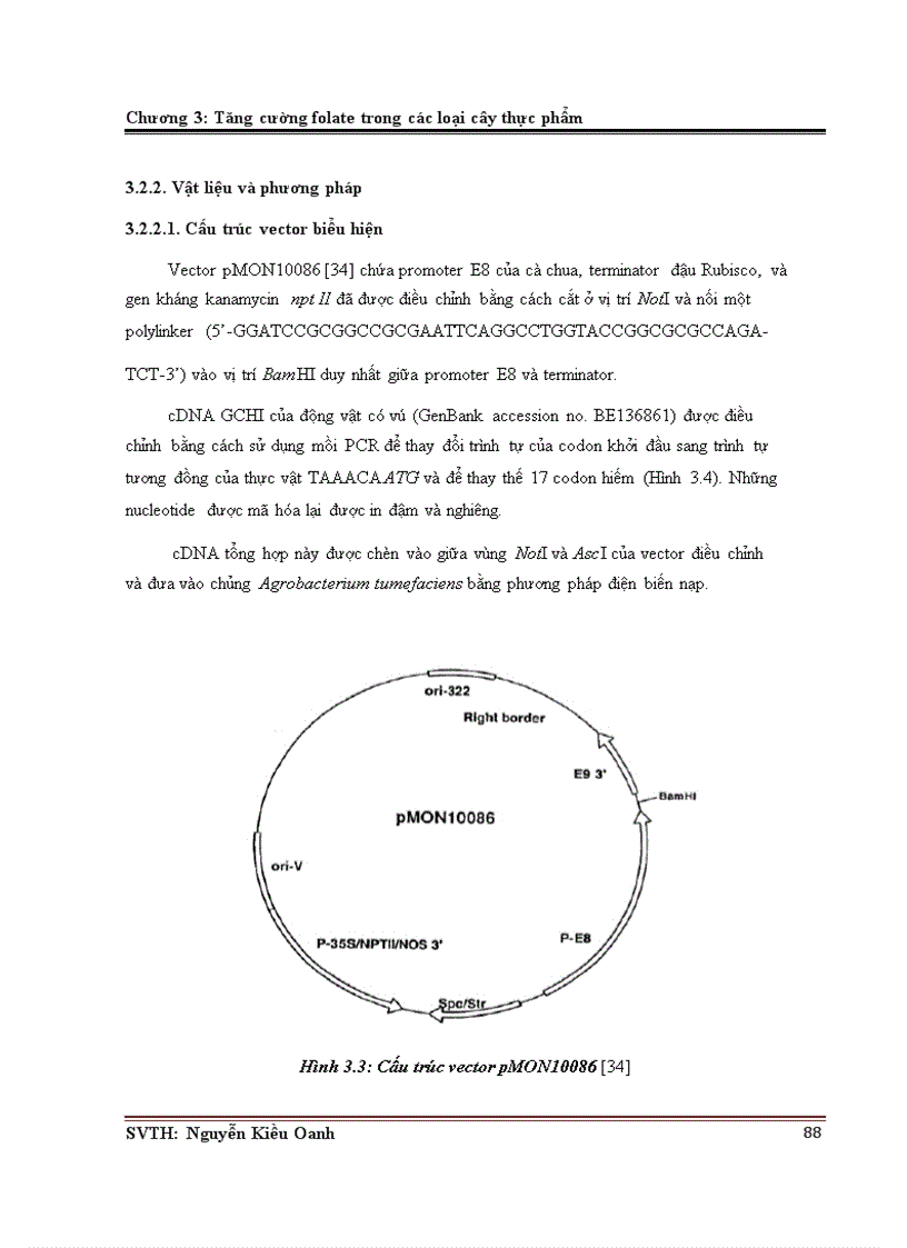 image for page Công nghệ sinh học ứng dụng trong sản xuất và chế biến thực phẩm chức năng