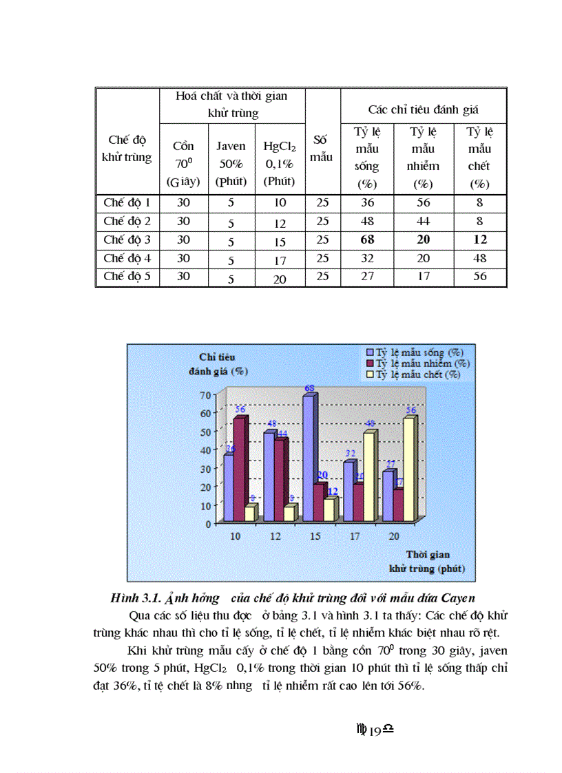 image for page Nhân giống in vitro dứa Cayen