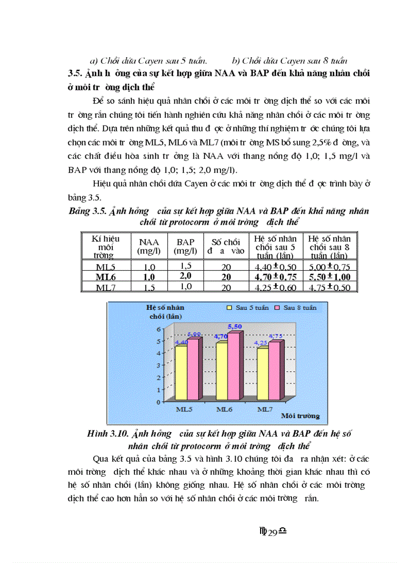image for page Nhân giống in vitro dứa Cayen