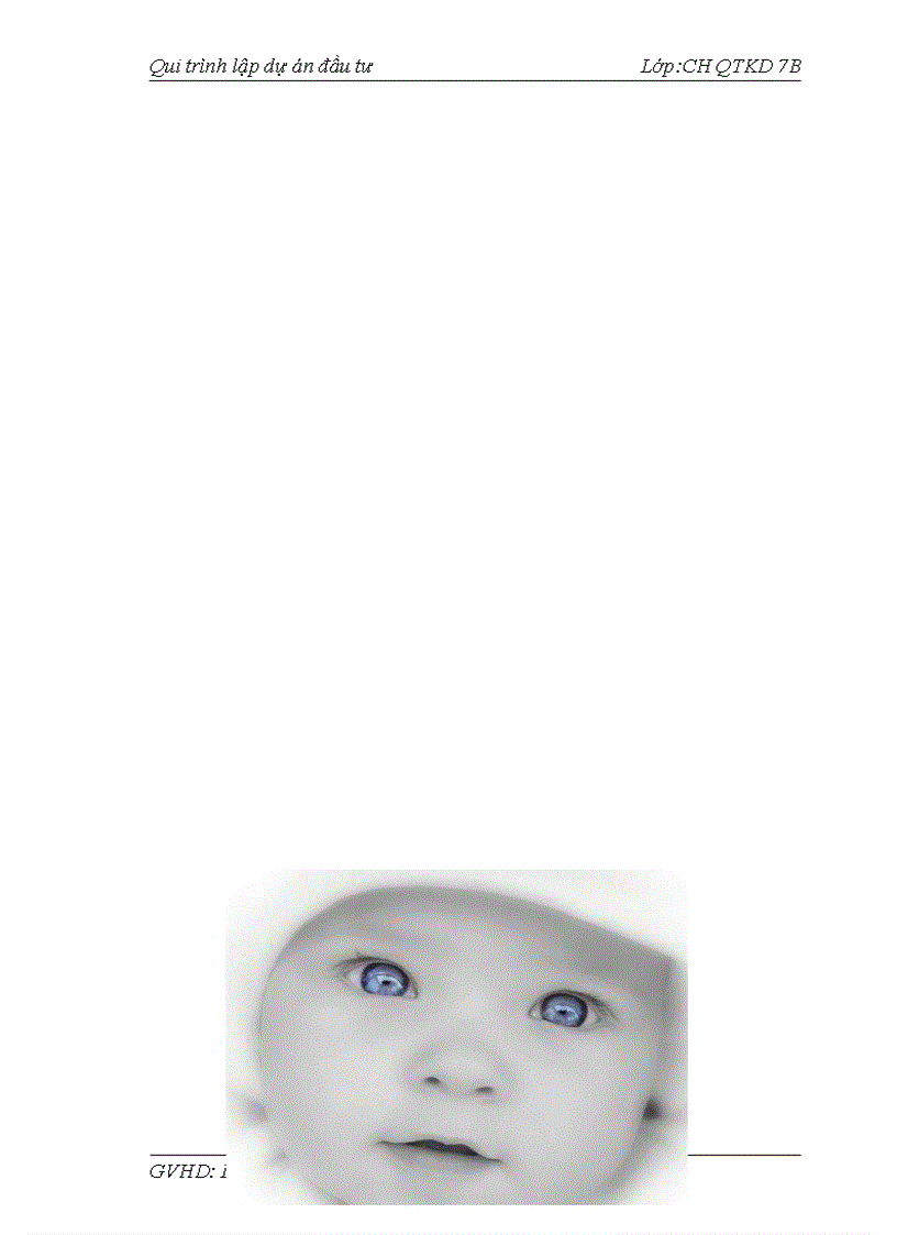 image for page Qui trình lập dự án đầu tưTiểu luận cao học FTU