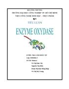 Enzyme Oxydase