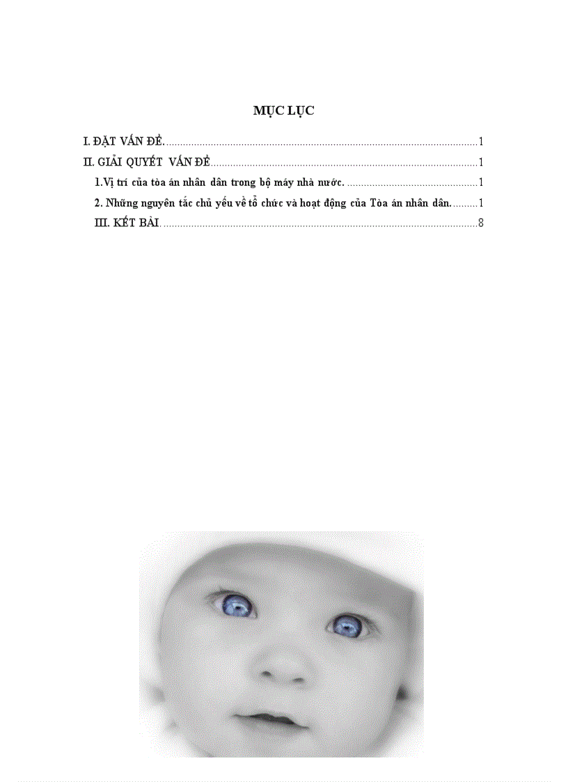 image for page Bài tập học kỳ Những nguyên tắc chủ yếu về tổ chức và hoạt động của Tòa án nhân dân