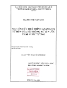 Nghiên cứu quá trình anammox từ bùn của hệ thống xử lí nước thải nước tương