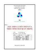 Axit amin là tiền thân của nhiều sinh chất quan trọng kèm ppt báo cáo