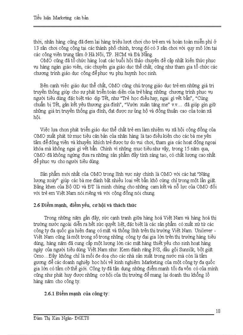 image for page Hoạt động phân đoạn thị trường lựa chọn thị trường mục tiêu và định vị thị trường sản phẩm Omo của tập đoàn Unilever