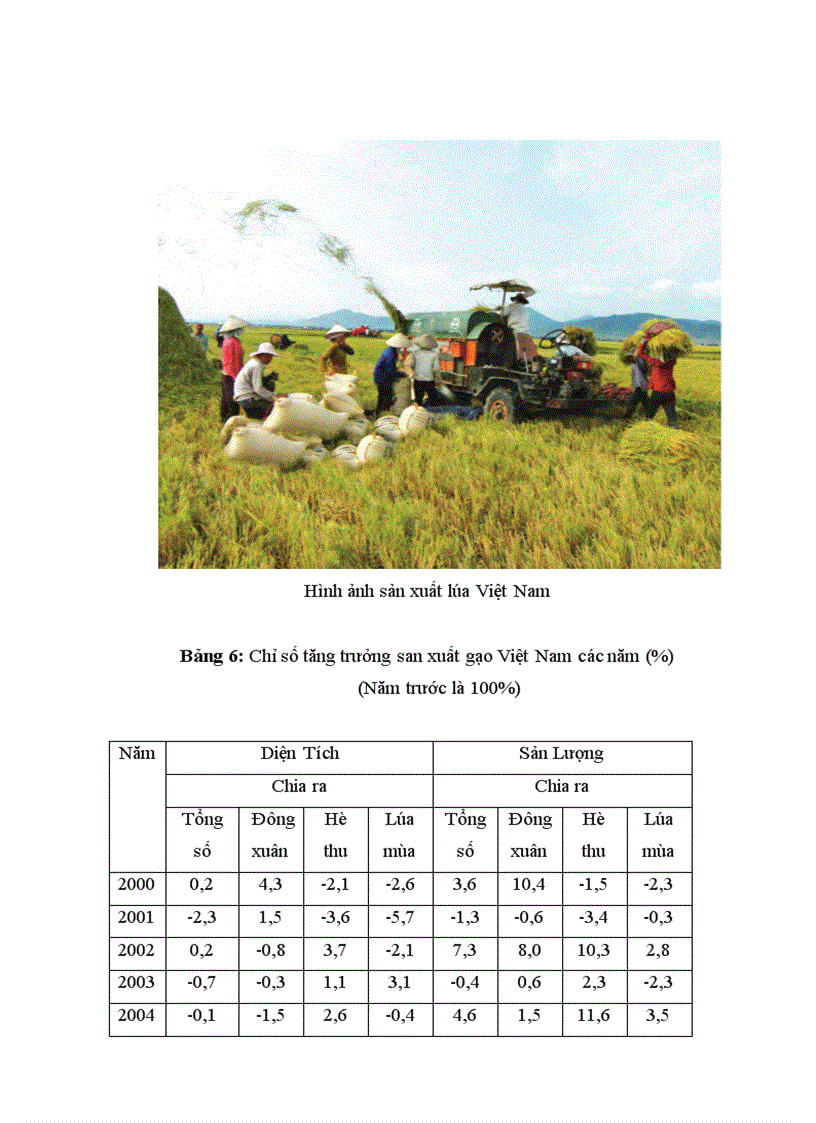 image for page Sản xuất và xuất khẩu của Việt Nam trong những năm gần đây thực trạng giải pháp