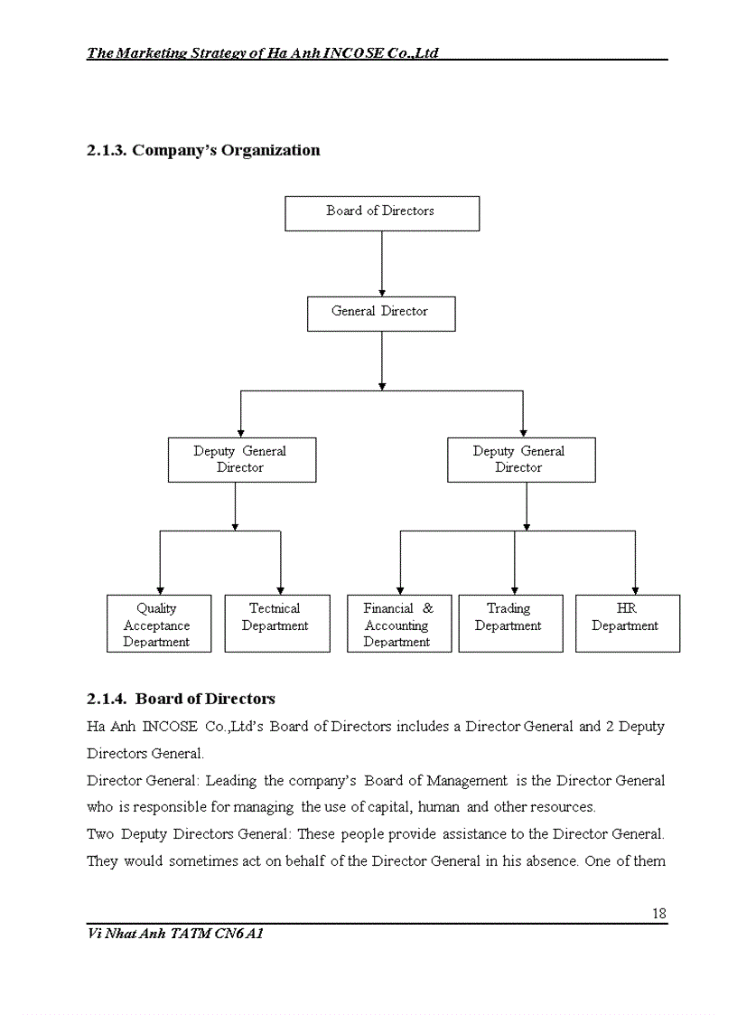 image for page The Marketing Strategy of Ha Anh INCOSE Co Ltd