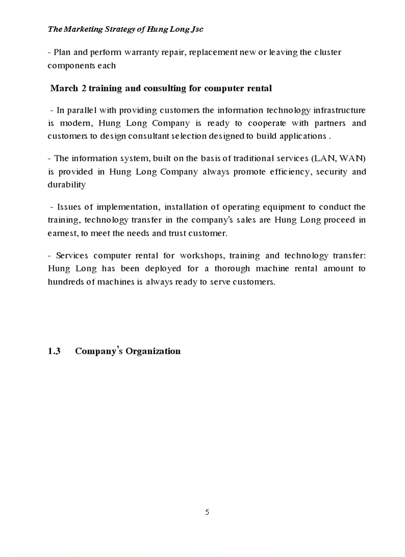 image for page The Marketing Strategy of Hung Long Jsc