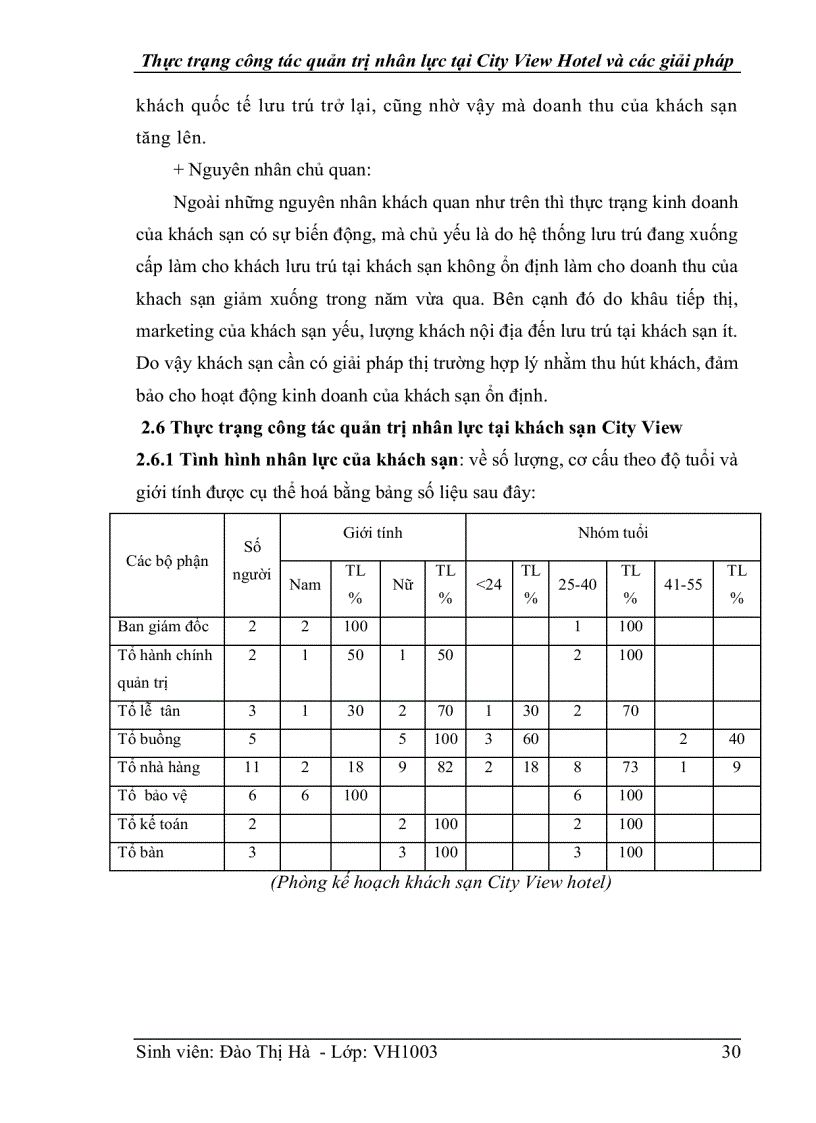 image for page Thực trạng công tác quản trị nhân lực tại khách sạn City View và một số giải pháp hoàn thiện