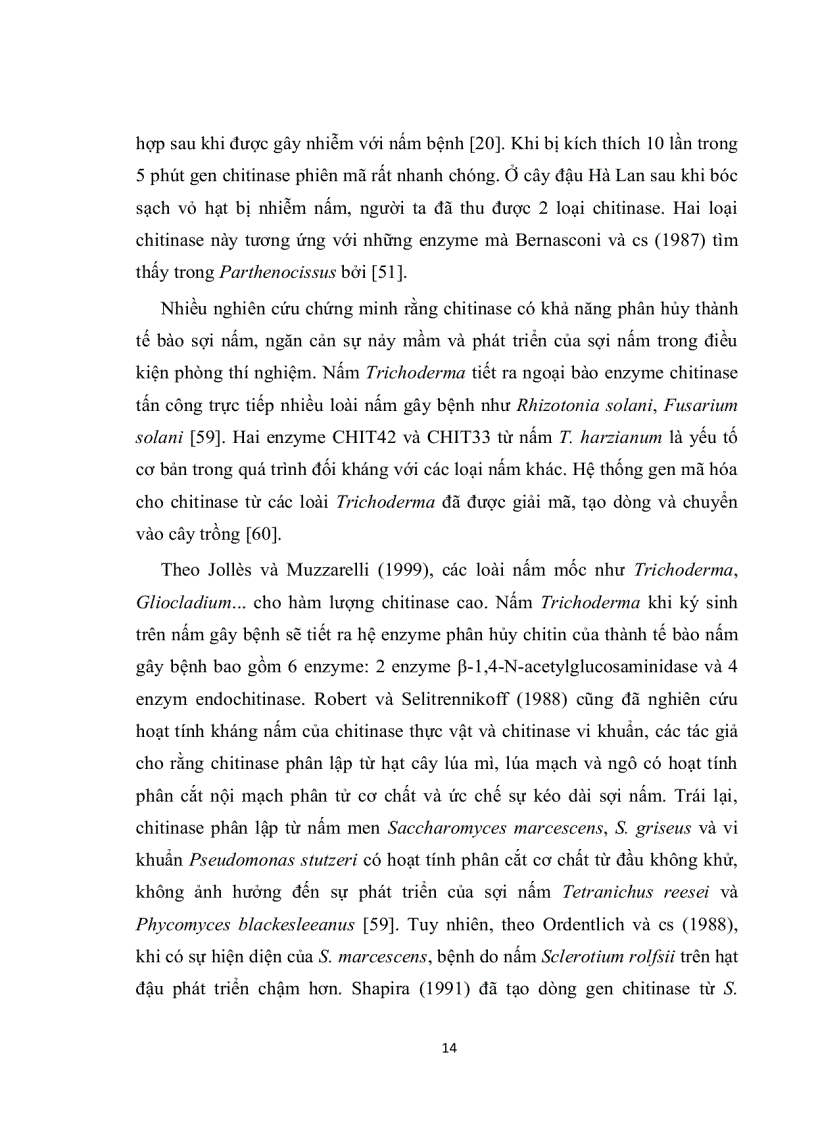 image for page Tạo dòng và biểu hiện gen chitinase từ nấm trichoderma