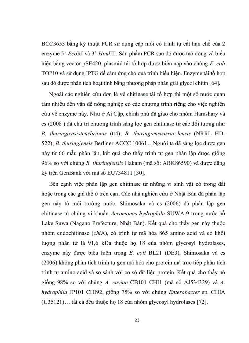 image for page Tạo dòng và biểu hiện gen chitinase từ nấm trichoderma