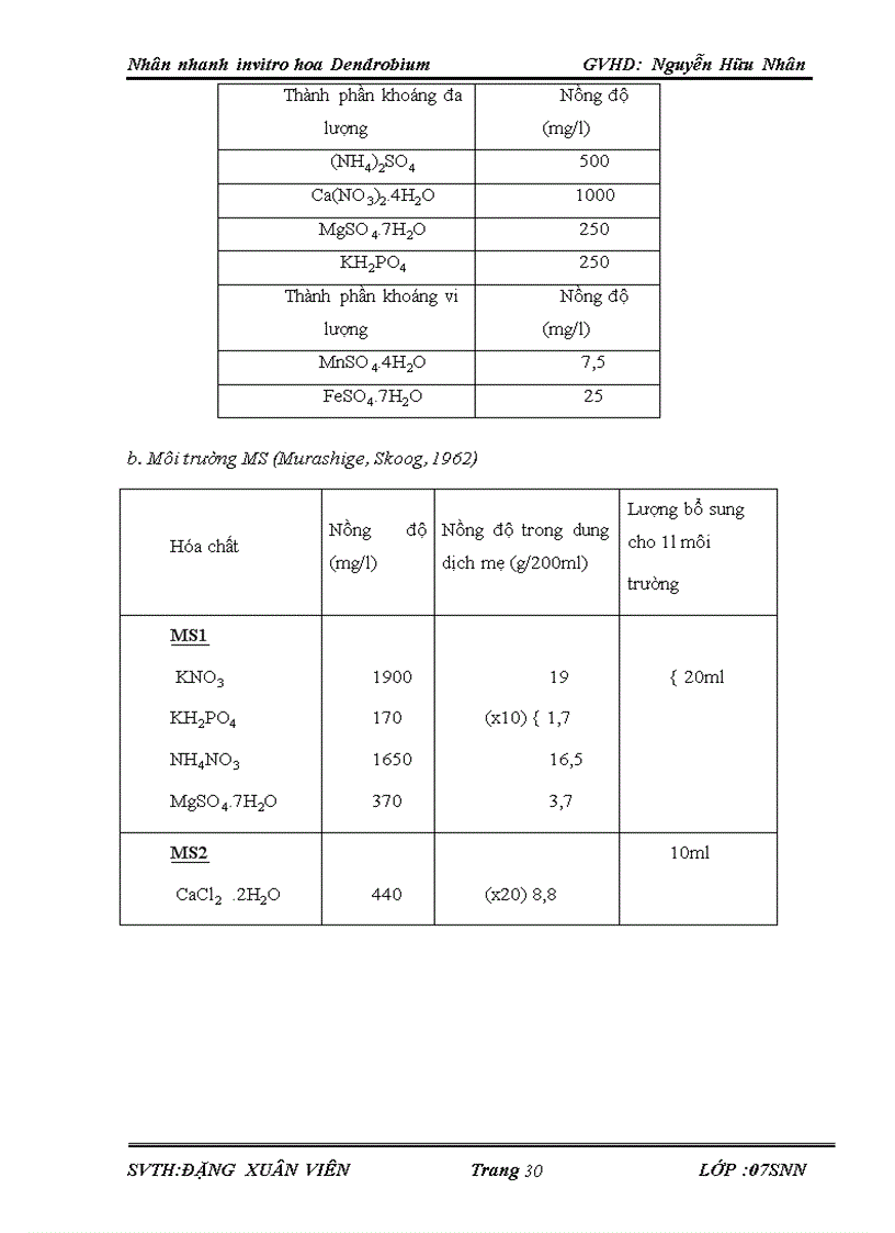 image for page Nhan nhanh invitro hoa Dendrobium