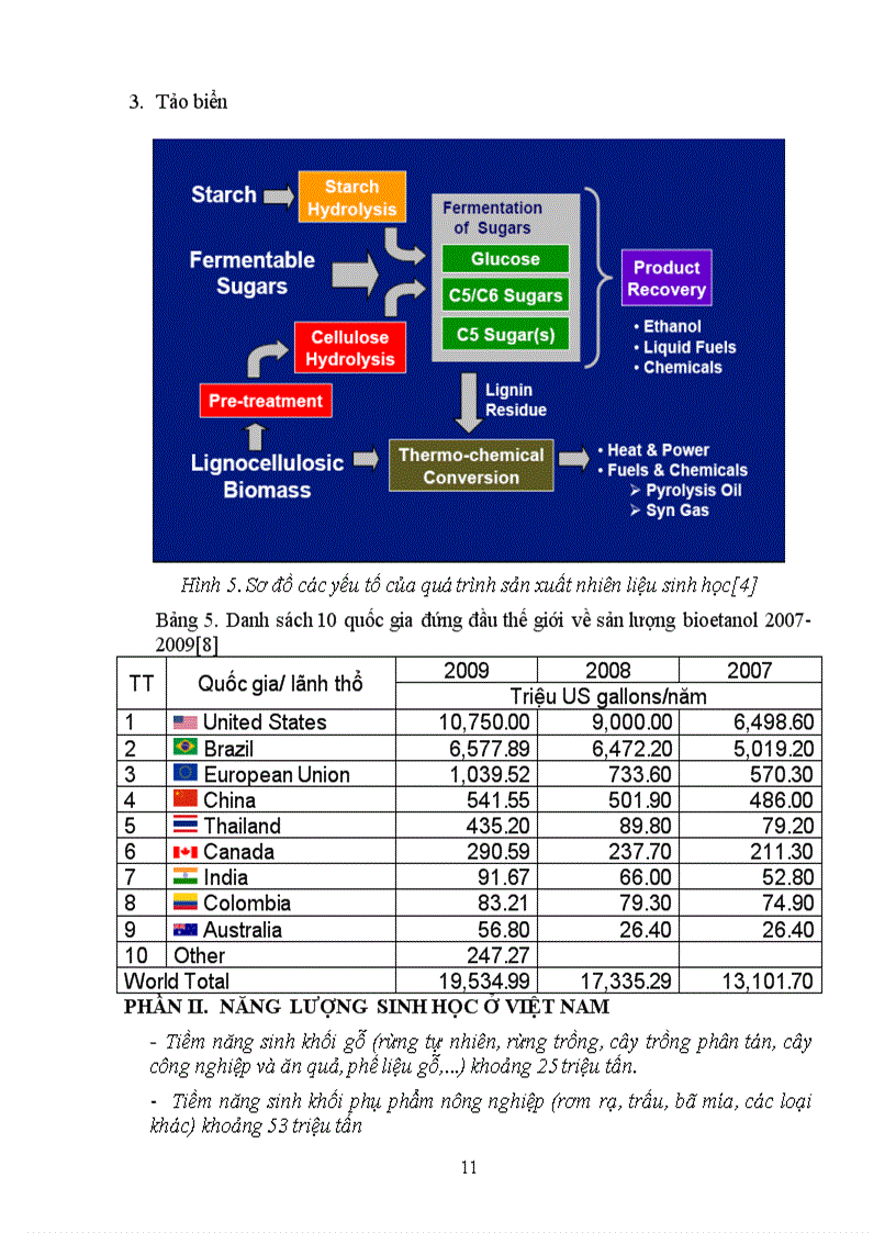 image for page Nhiên liệu sinh học