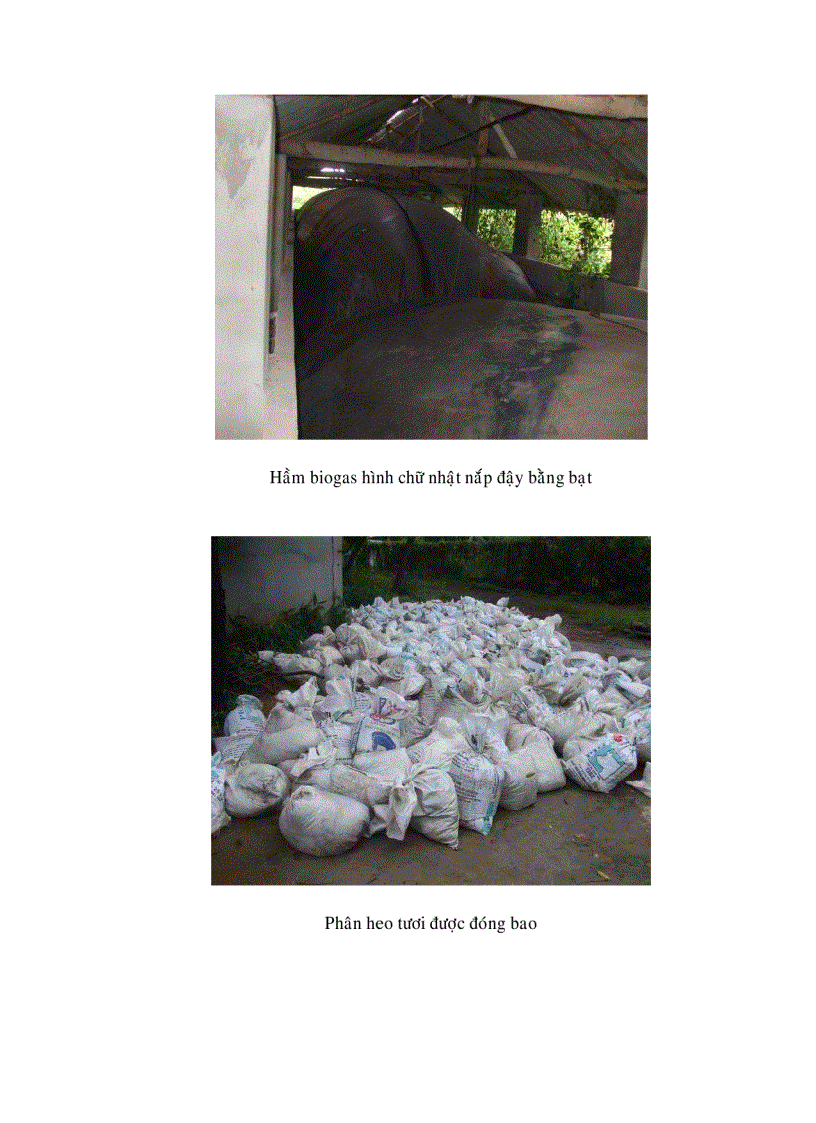 image for page Nghiên cứu hiện trạng và xây dựng các giải pháp bảo vệ môi trường cho trang trại chăn nuôi Văn Lợi huyện Thống Nhất tỉnh Đồng Nai